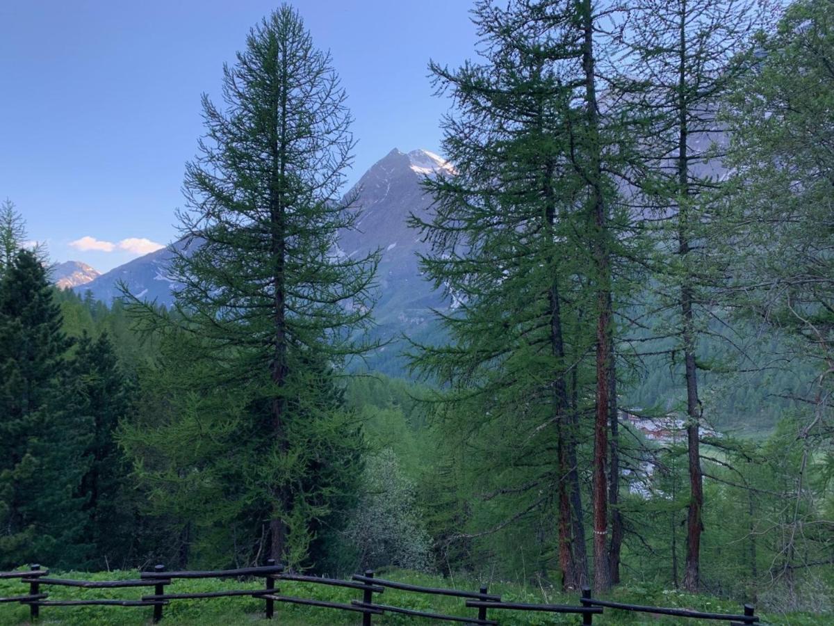 Casa Camas, Wide 2Bedroom, Feel The Mountain Breuil-Cervinia Bagian luar foto